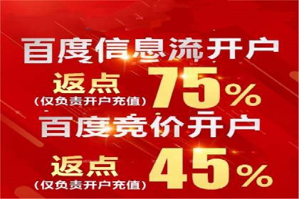 搜索引擎营销（SEM）的五大成功案例剖析